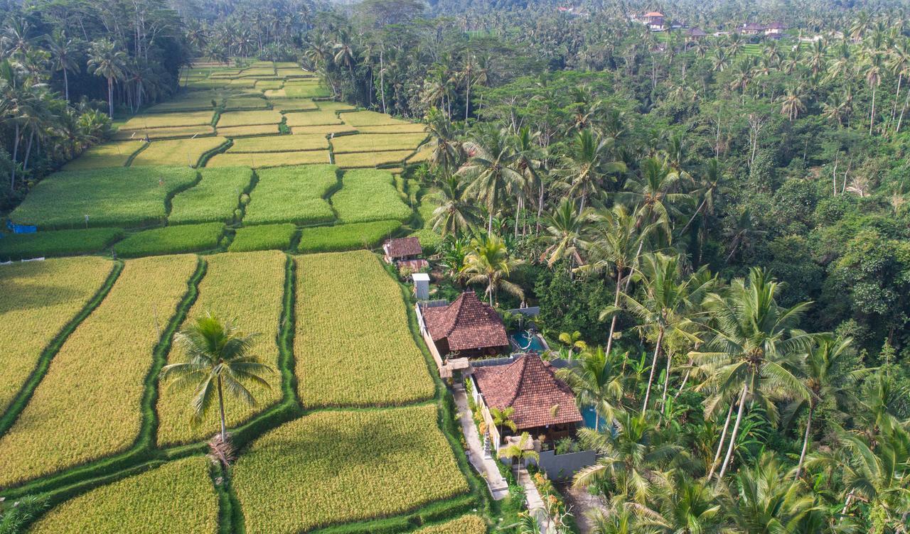 Mandana Ubud Villa ภายนอก รูปภาพ